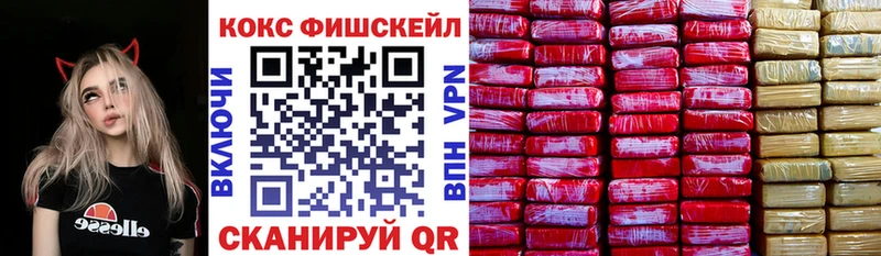 COCAIN Fish Scale  хочу   Копейск 