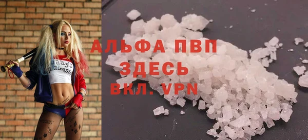 кокс Гусев