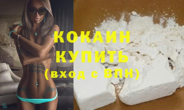 кокс Гусев