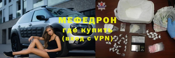 индика Елабуга