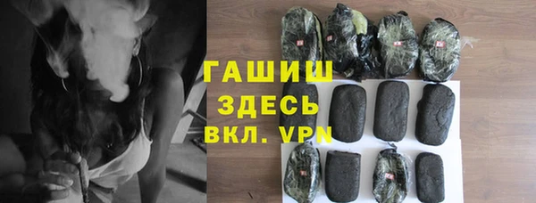 индика Елабуга