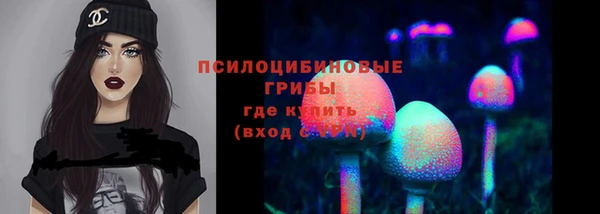 дурь Дмитров