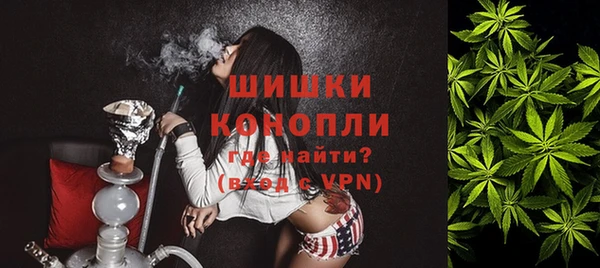 кокс Гусев