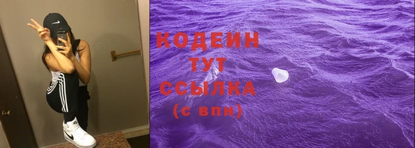 кокс Гусев